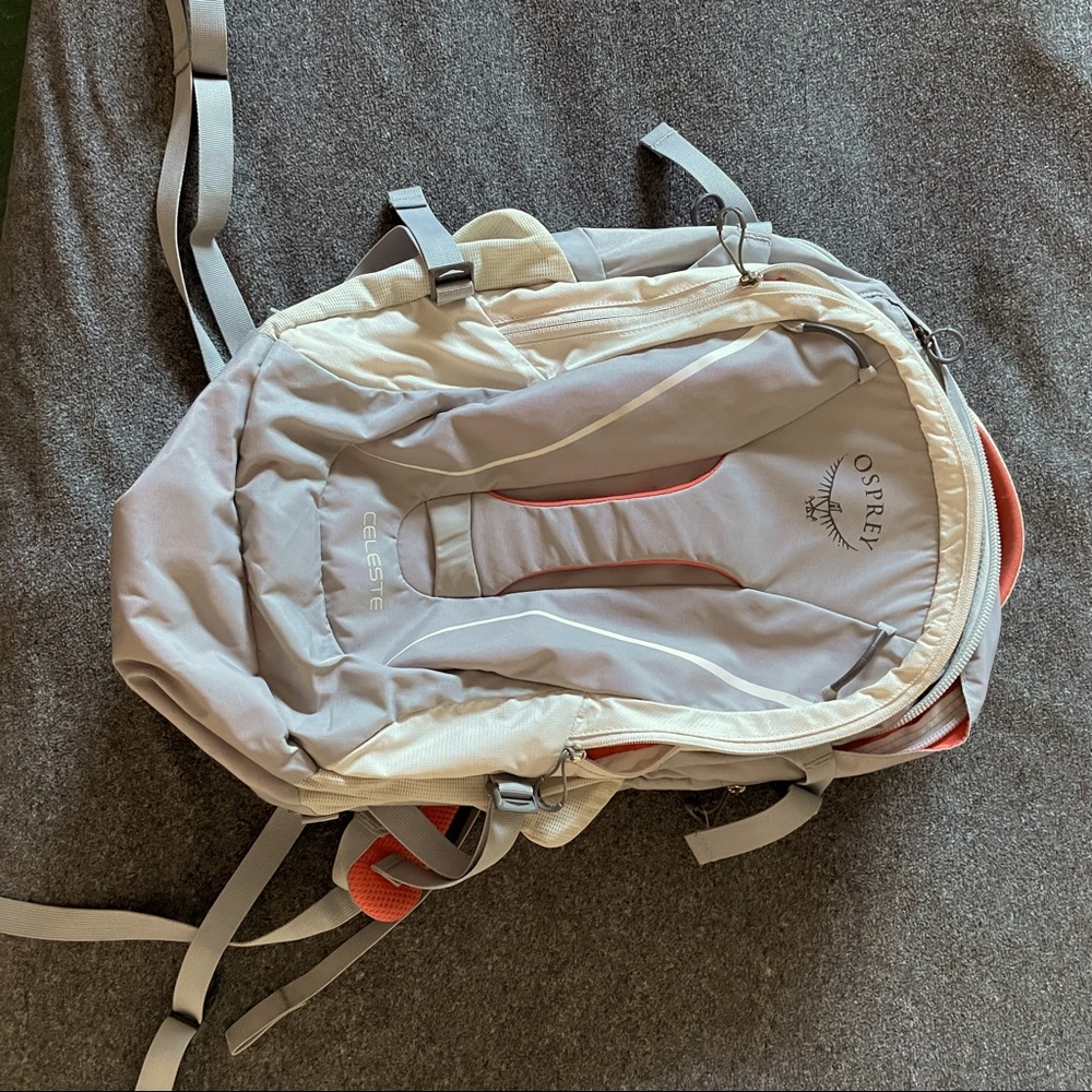 Osprey Celeste Everyday/Laptop Bag for women